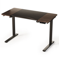 Dark Wood Electric Standing Desk