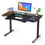 Dark Wood Electric Standing Desk