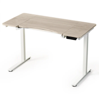 Light Wood Electric Standing Desk