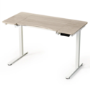 Light Wood Electric Standing Desk