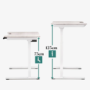Light Wood Electric Standing Desk