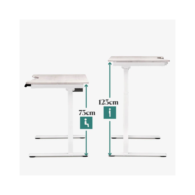 Light Wood Electric Standing Desk