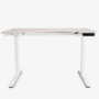 Light Wood Electric Standing Desk