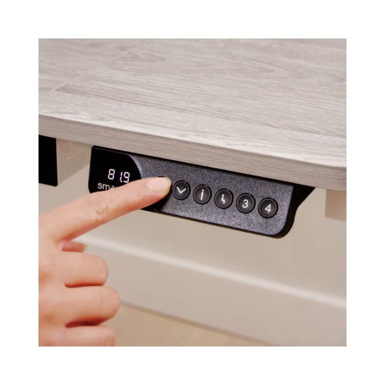 Light Wood Electric Standing Desk