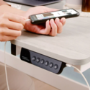 Light Wood Electric Standing Desk
