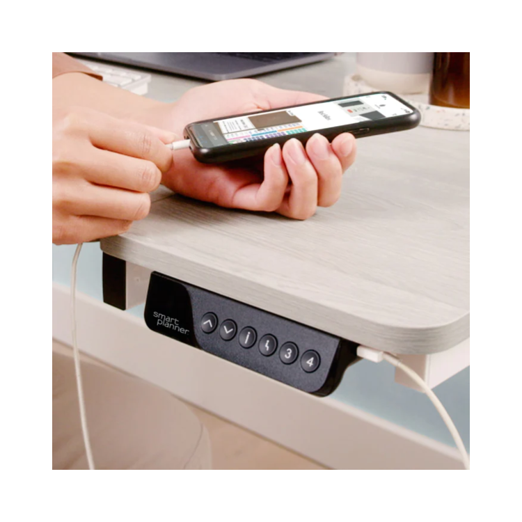 Light Wood Electric Standing Desk