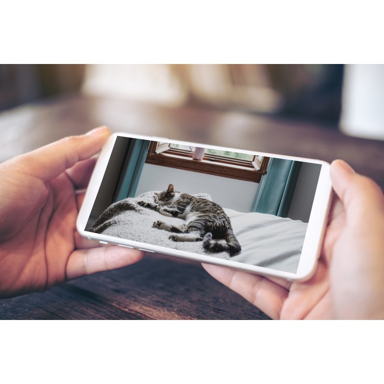 GRADE A1 - Swann 1080p Alert Indoor Security Camera