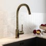 Single Lever Antique Brass Monobloc Kitchen Mixer Tap - Enza Tamara