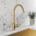 TAMSLABR Single handle kitchen faucet - Brushed Brass