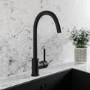 Black Single Lever Monobloc Kitchen Mixer Tap - Enza Tamara
