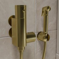 Brushed Brass Thermostatic Douche Shower / Bidet Shower Spray Kit - Arissa