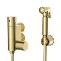 ALMOST PERFECT - Brushed Brass Douche Kit with Thermostatic Valve - Arissa