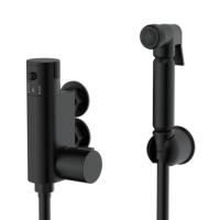 Black Thermostatic Douche Shower / Bidet Shower Spray Kit - Arissa Black Thermostatic Douche Shower / Bidet Shower Spray Kit - Arissa