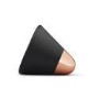 Aether Cone Wifi and Bluetooth HiFi Speaker - Black and Copper
