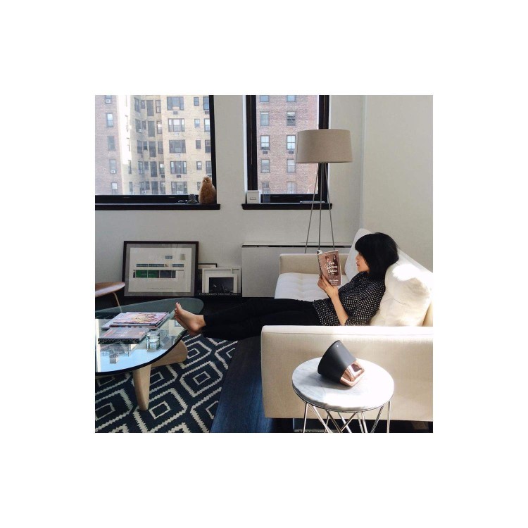 Aether Cone Wifi and Bluetooth HiFi Speaker - Black and Copper