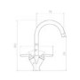 Reginox Chrome Dual Lever Mono Kitchen Mixer Tap - Torino CH