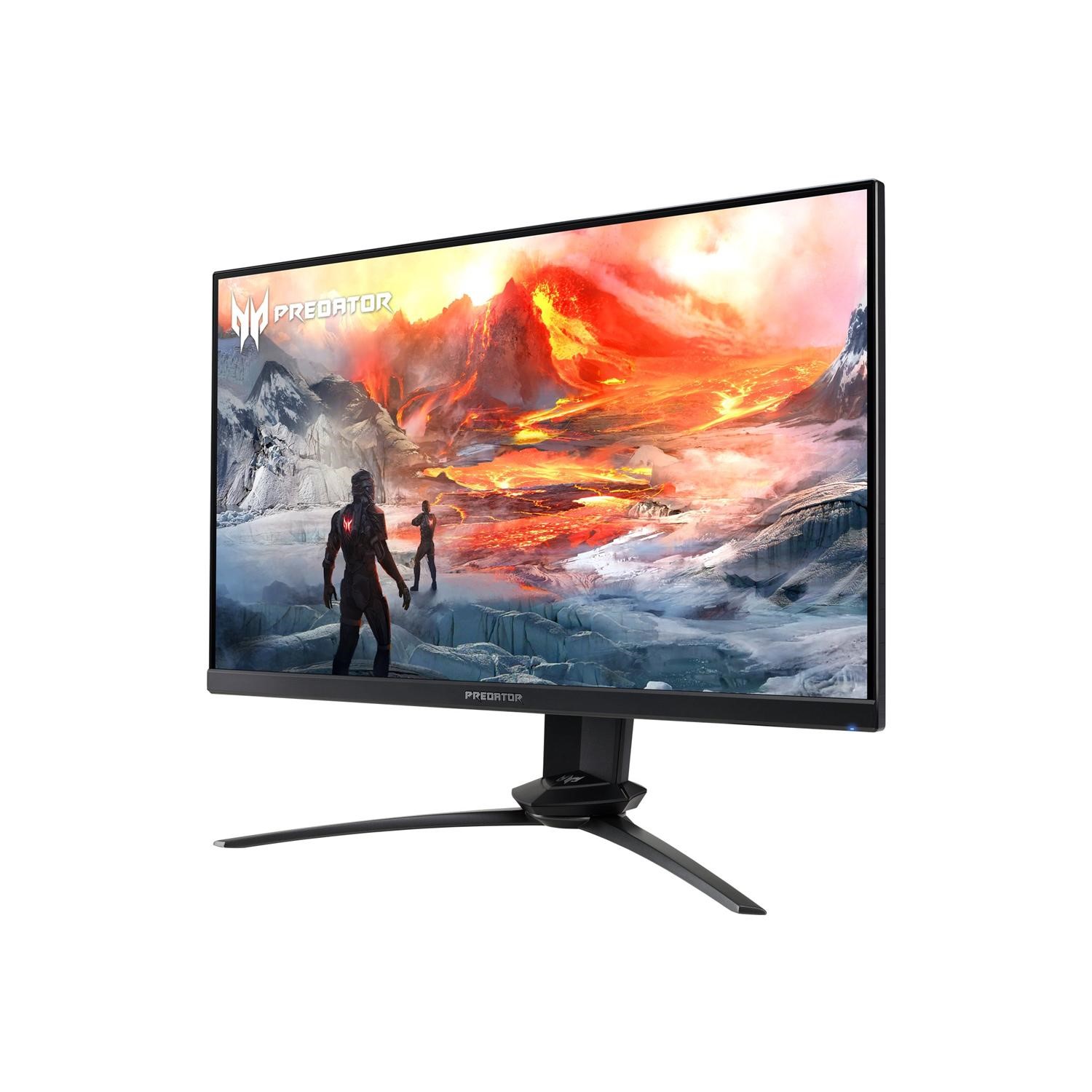 Acer Predator XN253QX 24.5