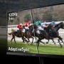 Acer SA242YG 23.8" IPS Full HD FreeSync Monitor