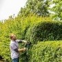 Bosch Universal HedgeCut 60cm Corded Hedge Cutter
