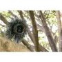 Arlo 720p HD Go Mobile Smart Home Weatherproof Camera 