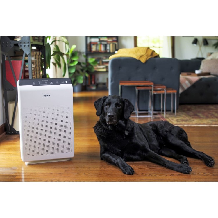 Winix Zero Air Purifier 4 stage filtration with True HEPA and Plasmawave technology - Great for large rooms up to 99sqm