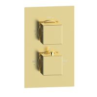 ONLY OPENED - Brushed Brass 1 Concealed Thermostatic Shower Valve with Dual Control - Zana