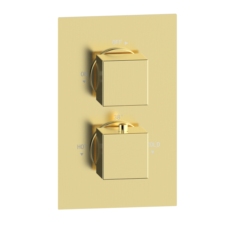 ONLY OPENED - Brushed Brass 1 Concealed Thermostatic Shower Valve with Dual Control - Zana