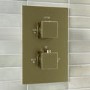 ONLY OPENED - Brushed Brass 1 Concealed Thermostatic Shower Valve with Dual Control - Zana