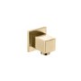 ONLY OPENED - Brushed Brass Shower Slide Rail Kit - Zana