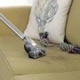 Vax CCQSAV1T1 Air Home Cylinder Vacuum Cleaner - Grey & Red