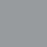 Gunmetal Gunmetal