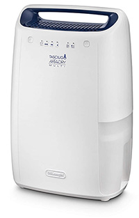 dex12 front