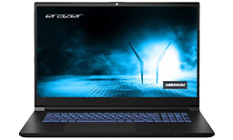 Laptops