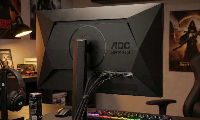 Comprehensive Connectivity: Versatile Setup Options