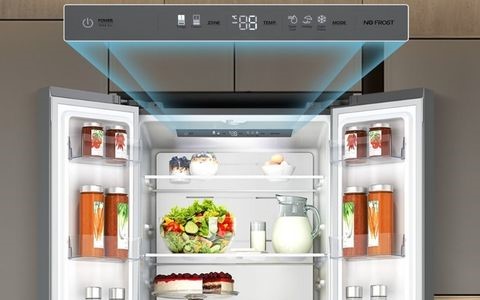 Electronic Temperature Controls