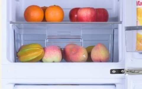 Salad Crisper