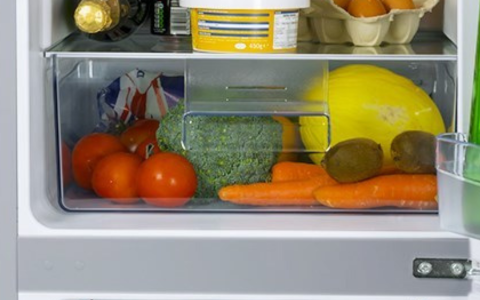 Salad Crisper