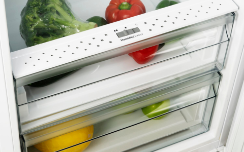 Salad Crisper