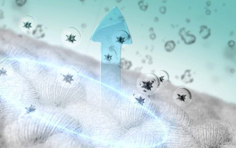 Anti Allergy tumble dryer.