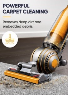 Deep Carpet Clean