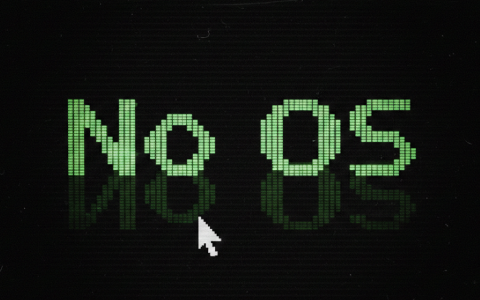 Flexibility and Control – No Operating System